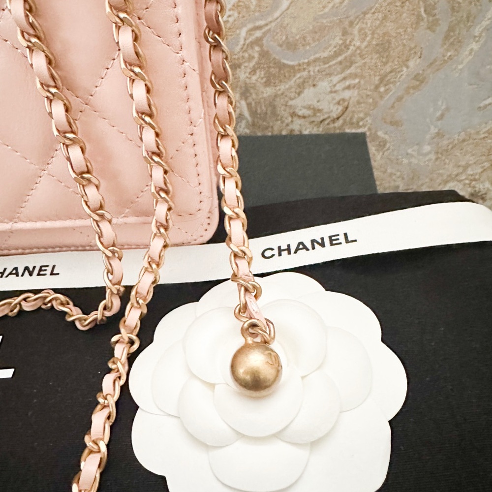 Chanel Calfskin Quilted Perfect Fit Wallet On Chain Crossbody Bag - Picture 13 of 14